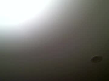Woodeee77 July 02, 2026