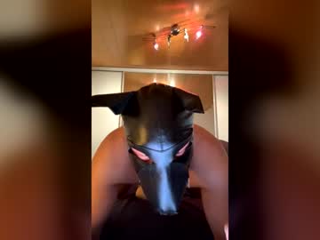 Playdog123 July 04, 2026
