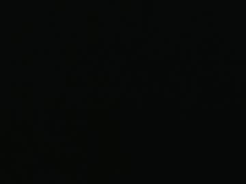That_Swiss_Guy July 10, 2026